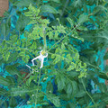 085003_20181026142749_01.JPG