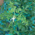 085003_20181026142749_04.JPG