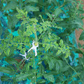 085003_20181026142750_03.JPG