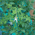 085003_20181026142751_01.JPG