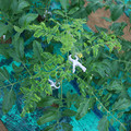 085003_20181026142752_03.JPG