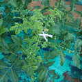 085003_20181026142753_02.JPG