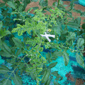 085003_20181026142753_04.JPG