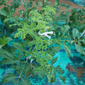 085003_20181026142754_04.JPG
