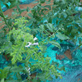 085003_20181026142755_03.JPG