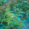 085003_20181026142756_01.JPG