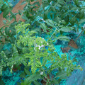 085003_20181026142756_03.JPG