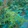 085003_20181026142756_04.JPG