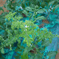 085003_20181026142757_01.JPG