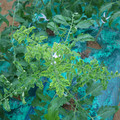 085003_20181026142757_02.JPG