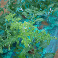 085003_20181026142757_03.JPG