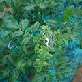 085003_20181026142801_01.JPG