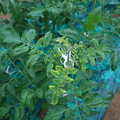 085003_20181026142801_03.JPG