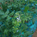 085003_20181026142802_04.JPG