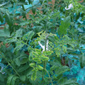 085003_20181026142803_03.JPG