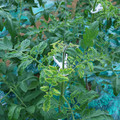 085003_20181026142803_04.JPG