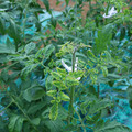 085003_20181026142804_05.JPG