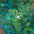 085003_20181026142810_01.JPG