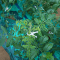 085003_20181026142810_02.JPG