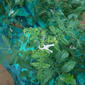 085003_20181026142810_03.JPG