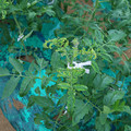 085003_20181026142812_03.JPG