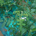 085003_20181026142813_01.JPG