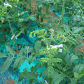 085003_20181026142813_04.JPG
