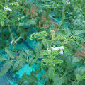 085003_20181026142813_05.JPG