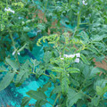 085003_20181026142814_01.JPG