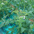 085003_20181026142814_02.JPG