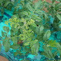 085003_20181026142823_01.JPG