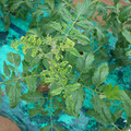 085003_20181026142823_03.JPG