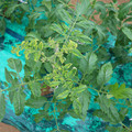 085003_20181026142824_01.JPG