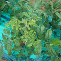 085003_20181026142824_02.JPG