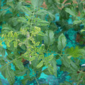 085003_20181026142824_05.JPG