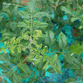 085003_20181026142825_04.JPG