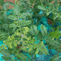085003_20181026142826_01.JPG