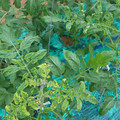 085003_20181026142826_04.JPG
