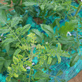 085003_20181026142827_01.JPG