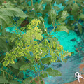 085003_20181026142849_01.JPG