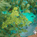 085003_20181026142849_02.JPG