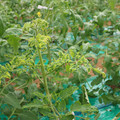 085003_20181026142854_01.JPG