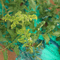 085003_20181026142858_01.JPG