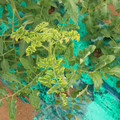 085003_20181026142859_01.JPG
