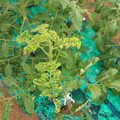085003_20181026142900_02.JPG