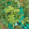 085003_20181026142900_03.JPG