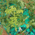 085003_20181026142900_05.JPG
