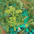 085003_20181026142901_01.JPG