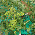 085003_20181026142902_01.JPG