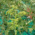 085003_20181026142902_04.JPG